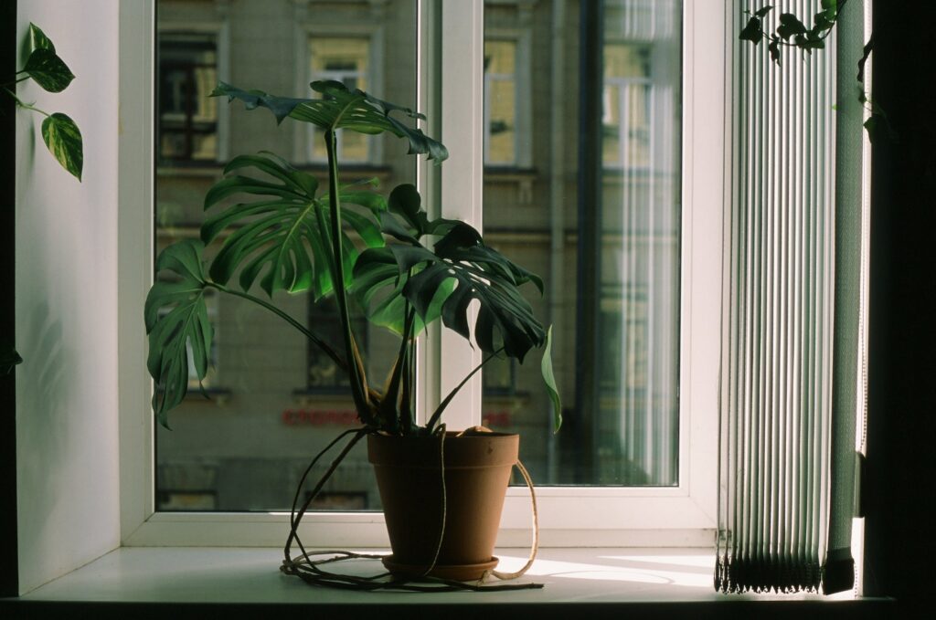Затишок і тепло в домі в якому стоїть ваза біля пластикового вікна